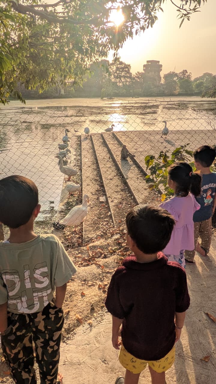 Children enjoying outdoor play by the lake